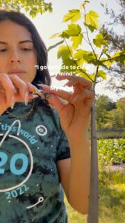 POV: you finally got your nails done 💅
And you’re not about to ruin them during the sesh.💨
That’s why I started making Sweeder clips.🤭
They hold your sesh so your nails stay fresh and your fingers stay protected.
And because they’re crystal and copper, they double as a ritual tool for sage and incense.🧘🏻♀️🧘🏽♂️🧘
Fresh nails every sesh.💅🏽
Bonus✨I hand make every clip 🤭
Comment CLIP if you want the link.
Save this for your next sesh 💅